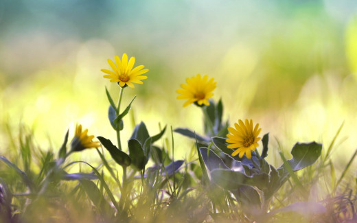 932347 (a): :2560x1600